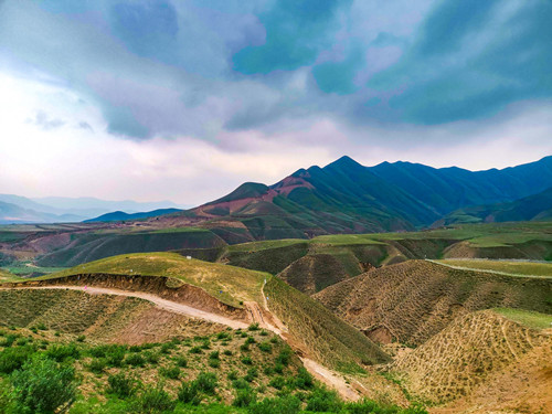 拯救荒野信號難題,甘肅蘭州渤海油田覆蓋實(shí)例