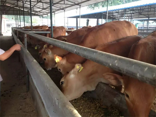 案例I山區(qū)養(yǎng)殖場信號差,把流暢信號從山頂“借”回來!