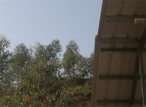 1667181506456257.png 640.png