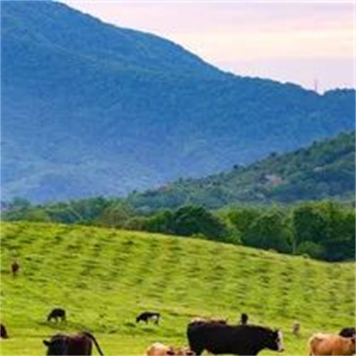 1667181748362186.jpg 640 (2).jpg