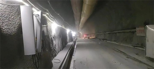 1672018960681531.jpg 10.jpg