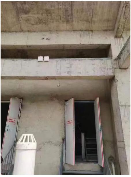 1691396438271865.jpg 6.jpg