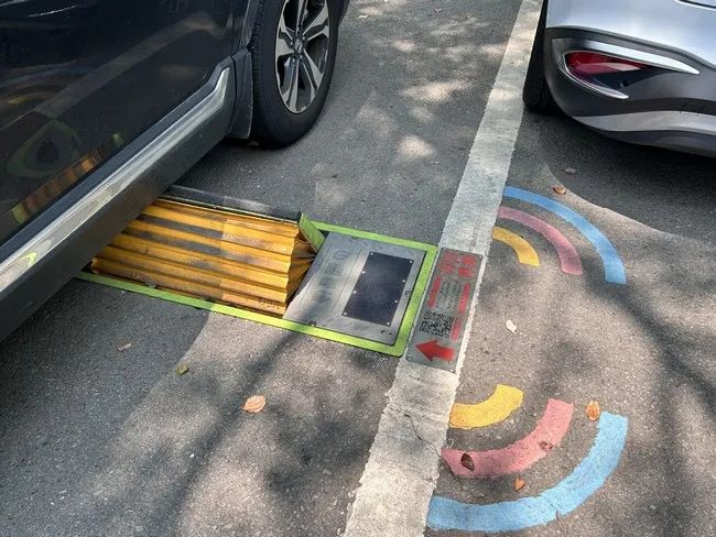 1702696970929063.jpg 2.jpg